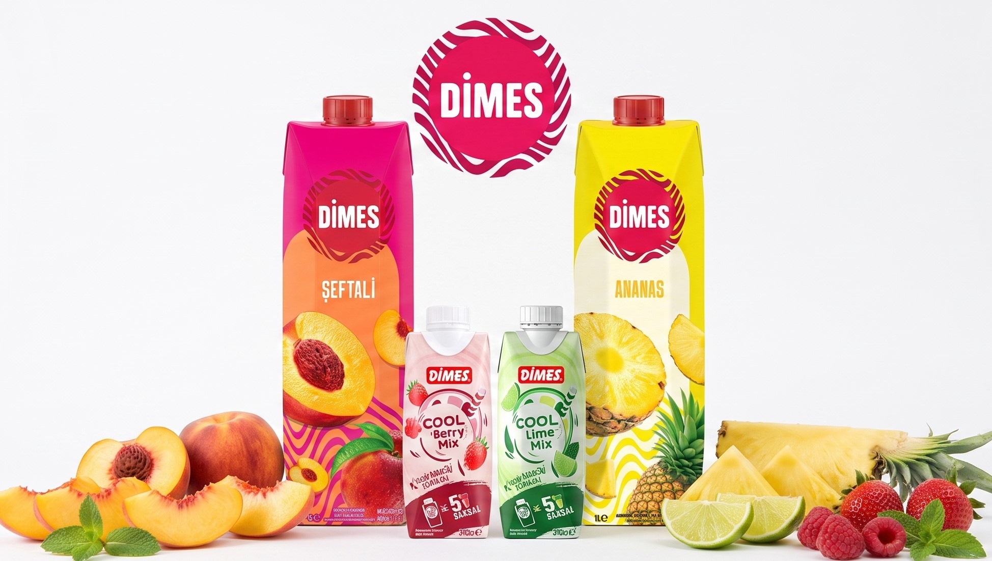 Dimes Web Tasarım Yenileme Mockup